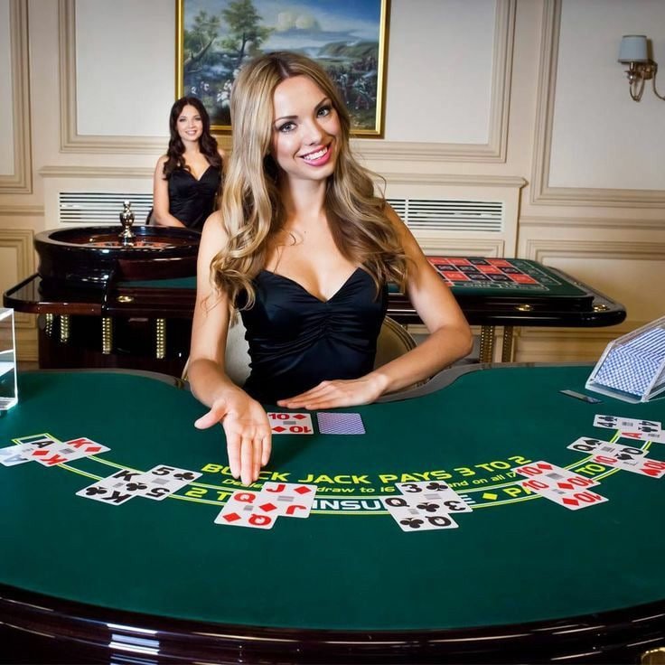 nat casino Live Casino Baccarat Roulette Blackjack ကစားနေသောပလက်ဖောင်းမြင်ကွင်း